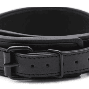Leather Collar & Lead